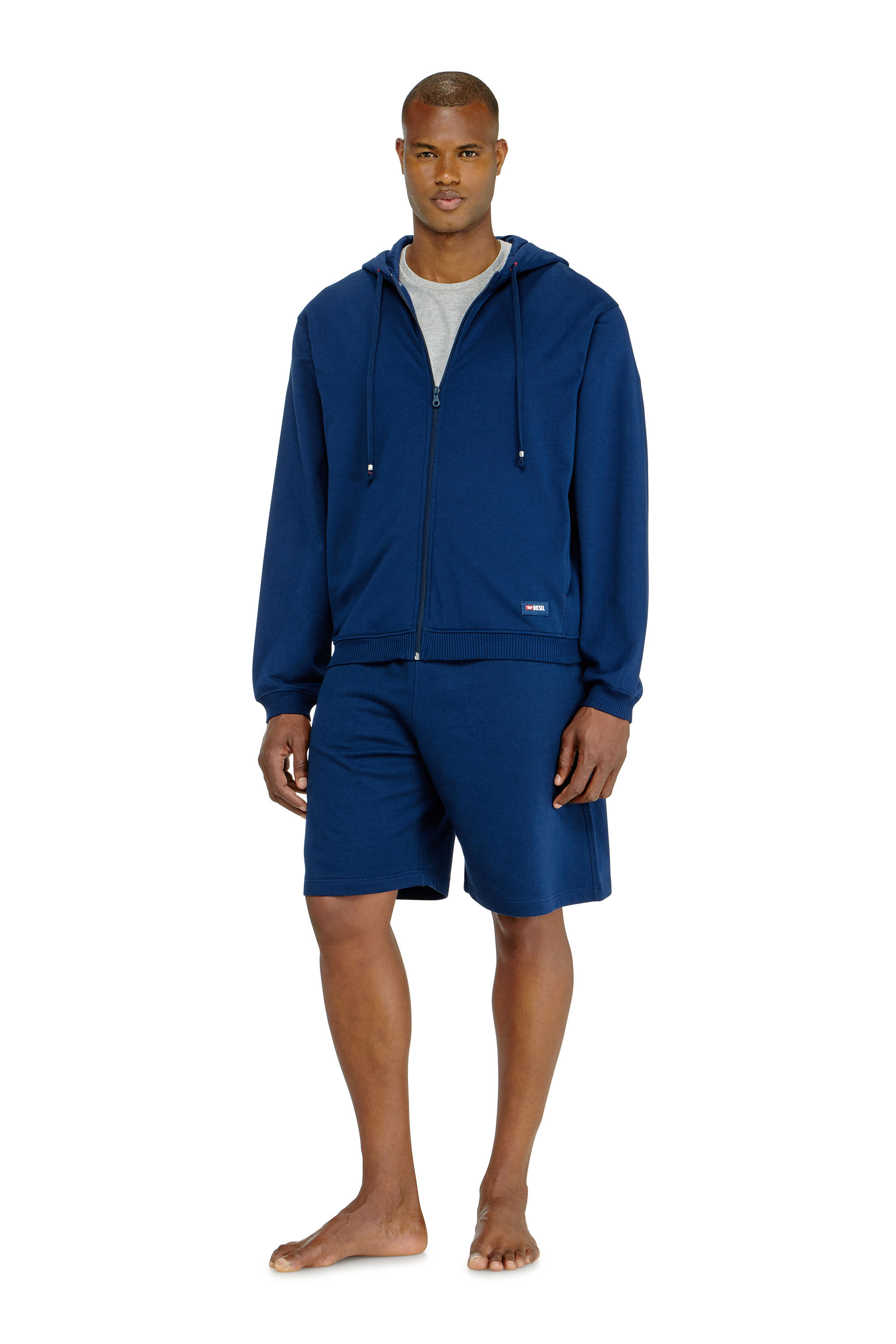 Diesel - JOY-D-CORE, Man's Hoodie in peached cotton blend in Blue - 1
