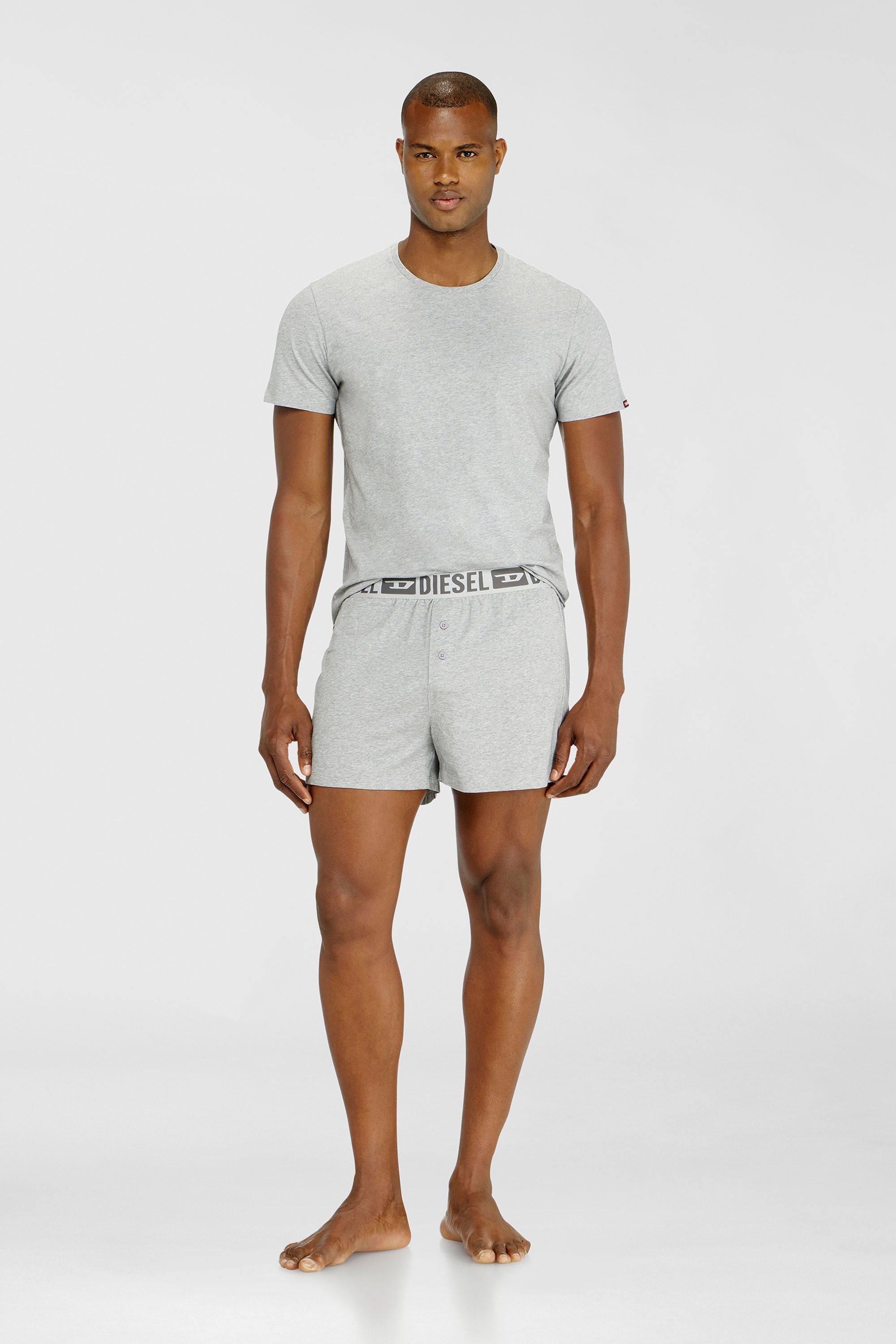 Diesel - STARKIE-D-CORE-2PACK, Man's Two-pack boxer shorts in stretch cotton in Grey/Black - 1
