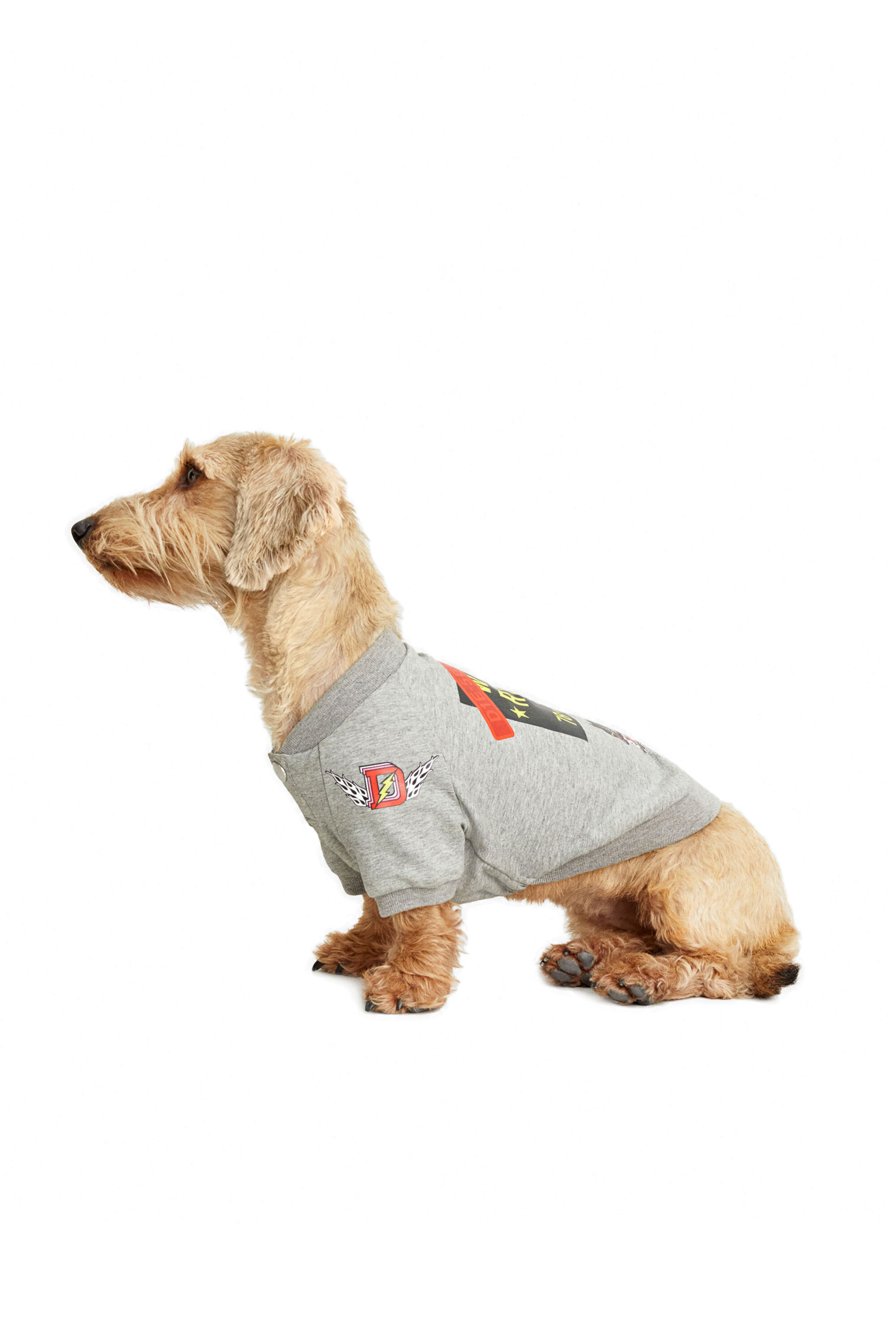 Service shop dog sweater